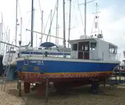 Troolari myynnissä