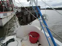 Troolari myynnissä