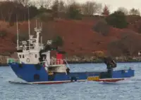 Työalukset myynnissä