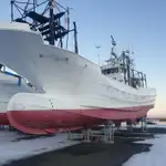 Troolari myynnissä