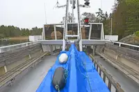 Risteilyalus myynnissä