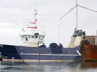 Troolari myynnissä