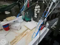 Troolari myynnissä