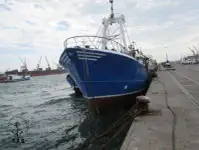 Troolari myynnissä