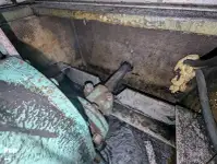 Risteily- ja autolautta myynnissä
