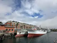 Troolari myynnissä