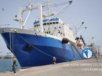 Troolari myynnissä