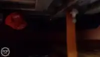 Troolari myynnissä