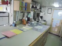 Partiovene myynnissä