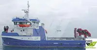 Troolari myynnissä
