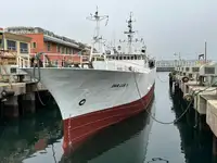 Troolari myynnissä