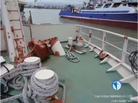 Troolari myynnissä