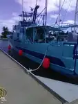 Troolari myynnissä