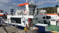 Proomu myynnissä