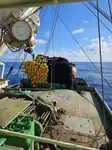 Purse seiner Myytävänä