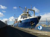Troolari myynnissä