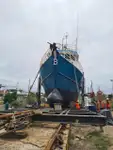 Troolari myynnissä