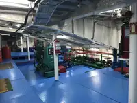 Ro-Ro ship Myytävänä