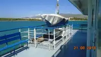 Ro-Ro ship Myytävänä