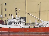 Troolari myynnissä