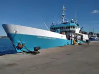 Troolari myynnissä
