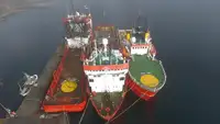 Alustatarvikealus (PSV) myynnissä