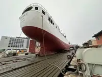 Troolari myynnissä