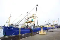 Risteilyalus myynnissä