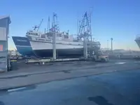 Troolari myynnissä