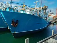 Trawler Myytävänä