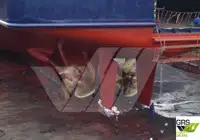 Ro-Ro-alus myynnissä