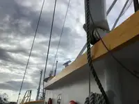Troolari myynnissä