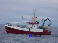 Troolari myynnissä