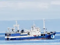 Troolari myynnissä