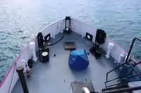 General Cargo/Multi-purpose myynnissä