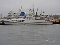 Troolari myynnissä