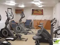 Konttilaiva myynnissä