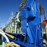 Purse seiner Myytävänä