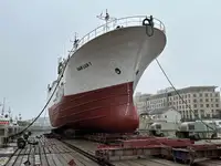 Troolari myynnissä