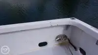 Sukellustuki myynnissä