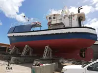 Troolari myynnissä