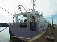 Troolari myynnissä