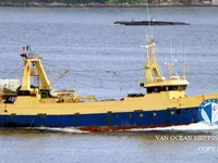 Troolari myynnissä