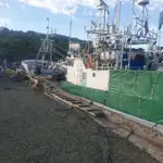 Troolari myynnissä