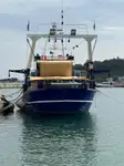 Troolari myynnissä