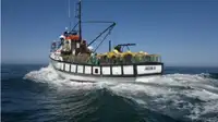 Trawler Myytävänä