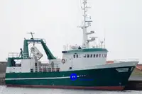 Troolari myynnissä
