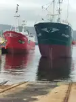 Troolari myynnissä