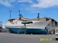 Troolari myynnissä