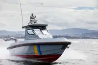 Partiovene myynnissä